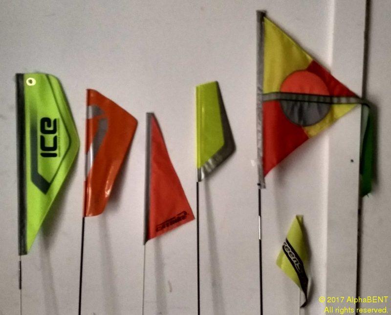 Trike flags hot sale for catrike